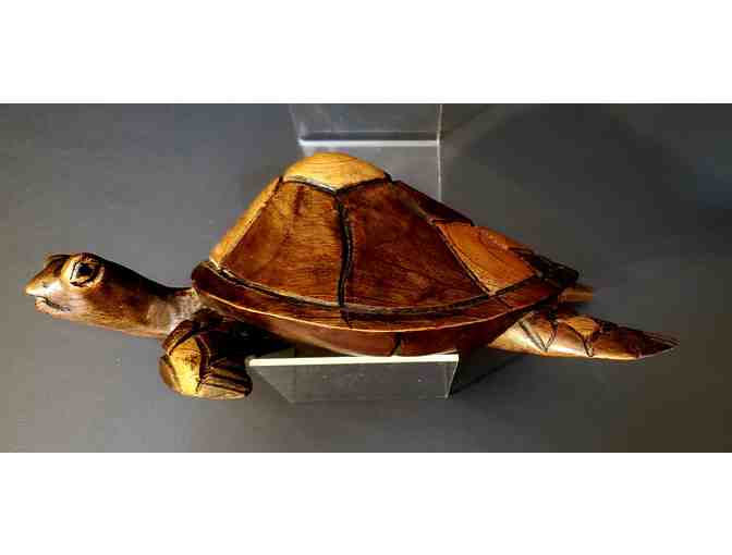 Hand-carved, polished Turtle made from multiple woods