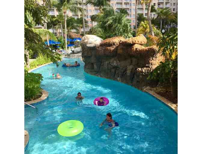 A week at the Marriott Aruba Surf Club: April 4 to 11, 2025