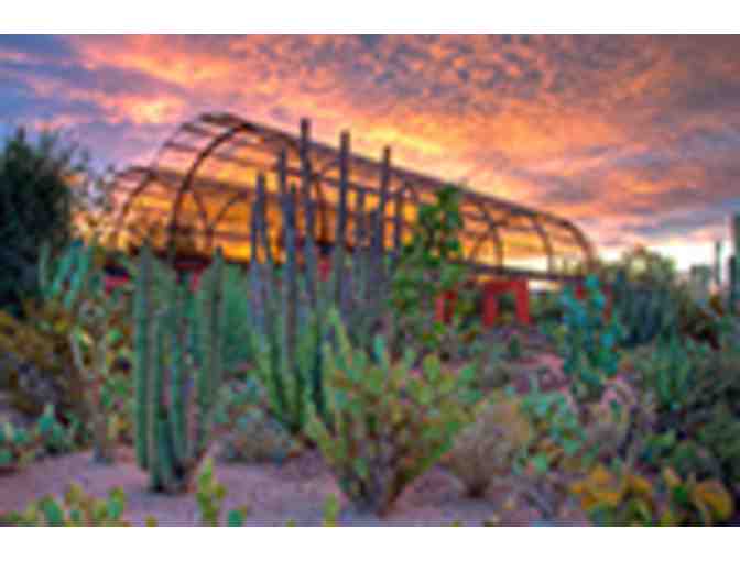 Desert Botanical Garden Family Membership - Photo 2