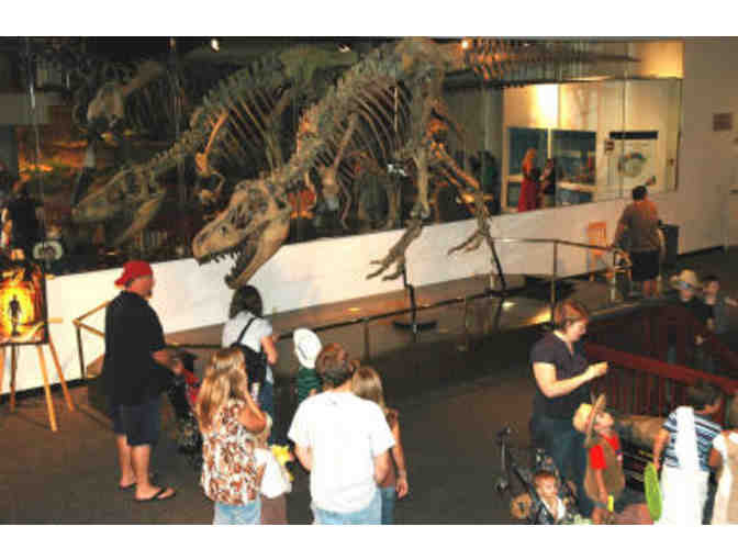 Step Back in Time at The Arizona Museum of Natural History - Photo 1