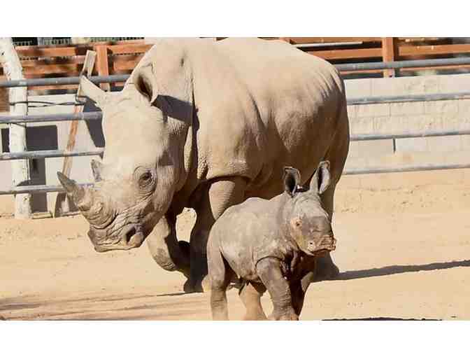 Summer Fun with the Kids