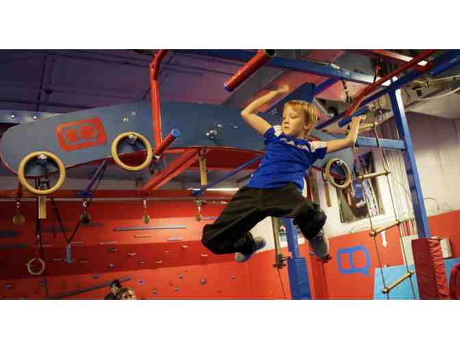 Conquer Ninja Gym Passes - Photo 1