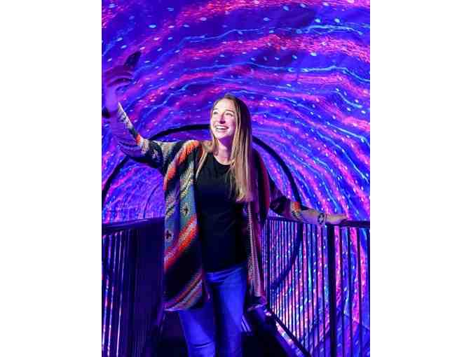 Chicago Museum of Illusions Gift Card - Photo 2