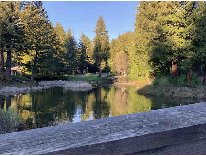 18-holes, 4 players, and carts at Boulder Creek Golf & Country Club