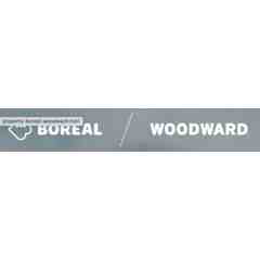 Boreal Resort (Woodward Tahoe)