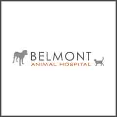 Belmont Animal Hospital