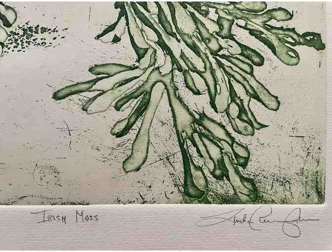Irish Moss, AP artist proof - Linda L. Cunningham