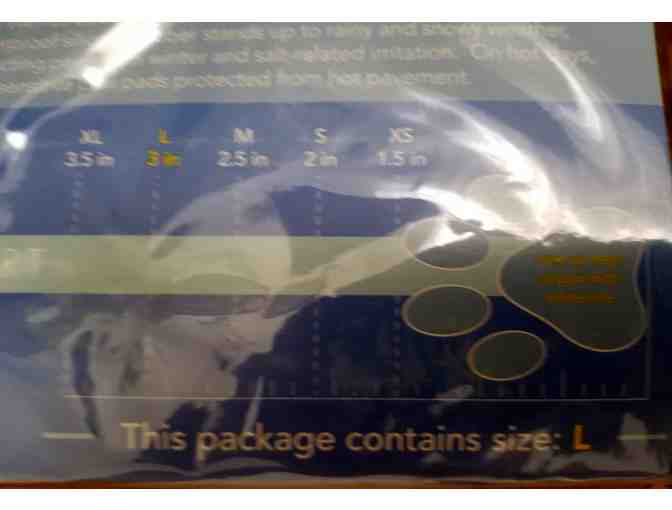 Jelly Wellies in doggie size Large