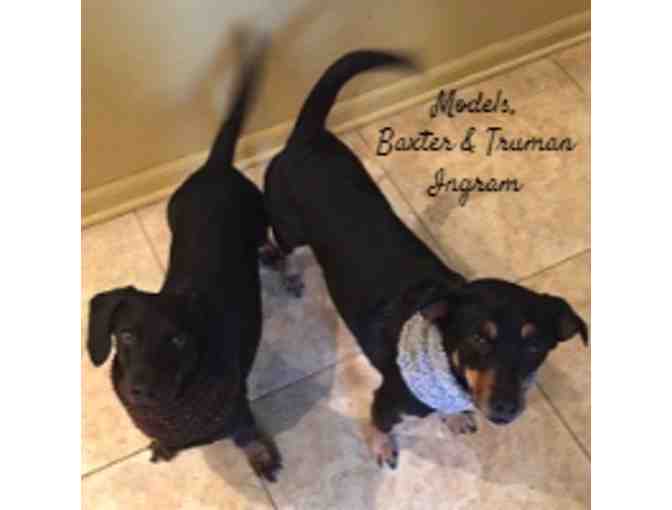 Dog Cowl: Green with Wooden Buttons (Size M)