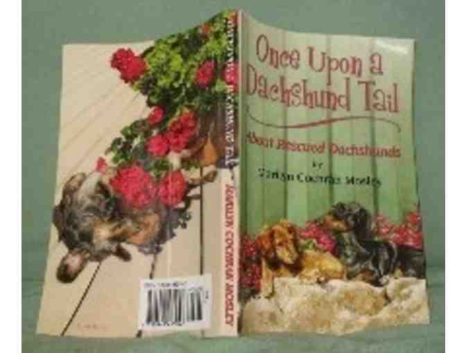 Once Upon a Dachshund Tail