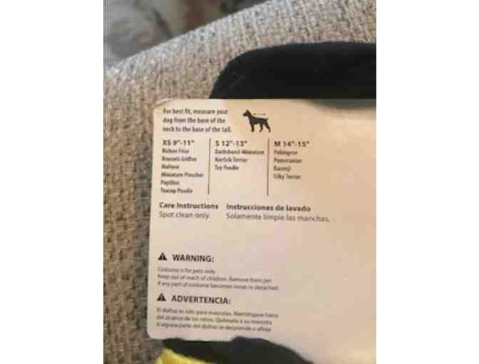 Bumble Bee Pet Costume (Size S/M)