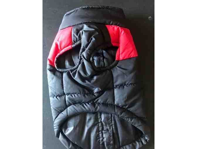 Gently Used Pet Coat - size small