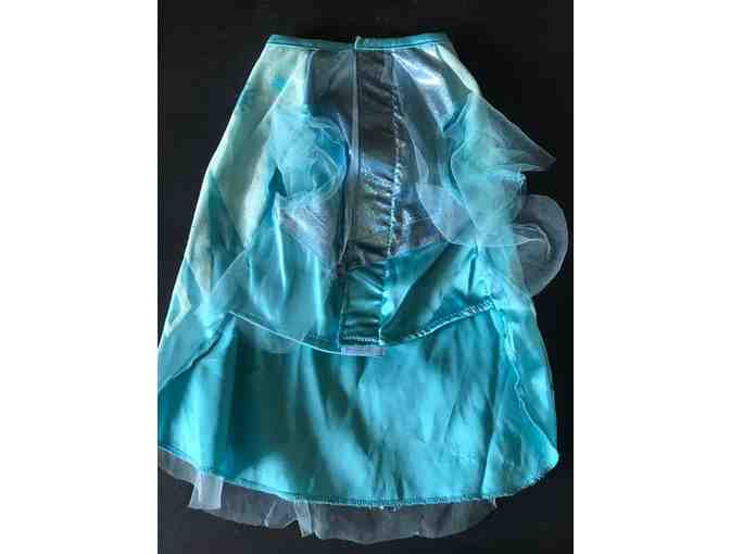 Disney Frozen Pet Costume - size Med
