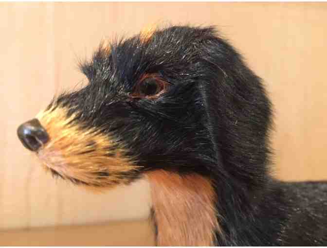 Fur covered dachshund - Vintage!