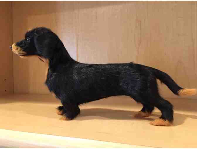 Fur covered dachshund - Vintage!