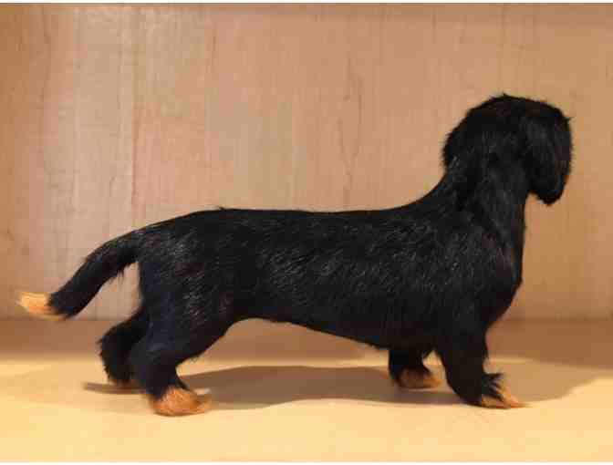 Fur covered dachshund - Vintage!