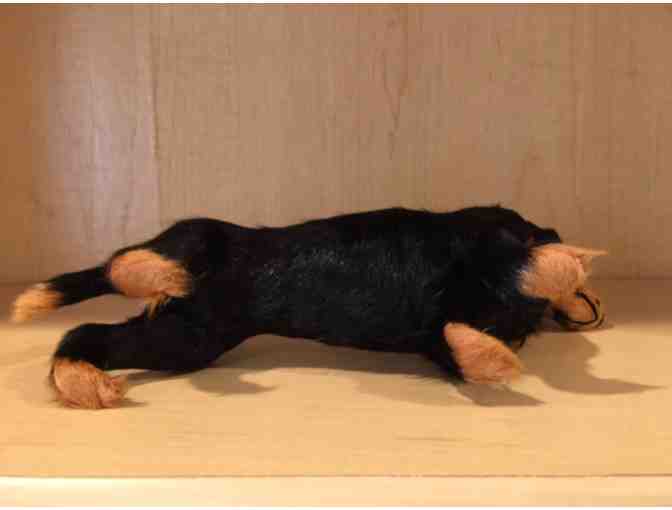 Fur covered dachshund - Vintage!