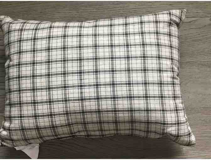 Dachshund Decorative Pillow