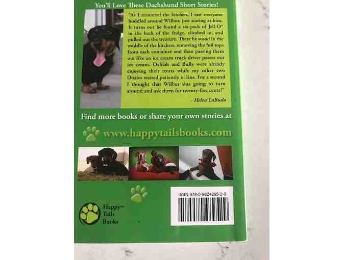 Lost Souls: FOUND! book by Kyla Duffy and Lowrey Mumford