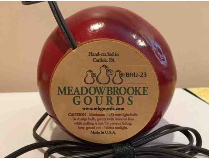 Gourd Luminary! Beautiful Hummingbird! ~~RETIRED PIECE~~