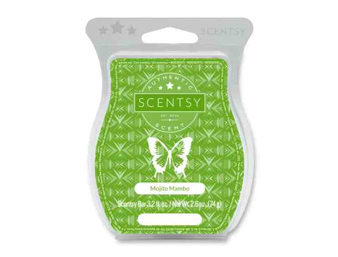 BUY A CHANCE TO WIN! - Dachshund Scentsy Fragrance Warmer!