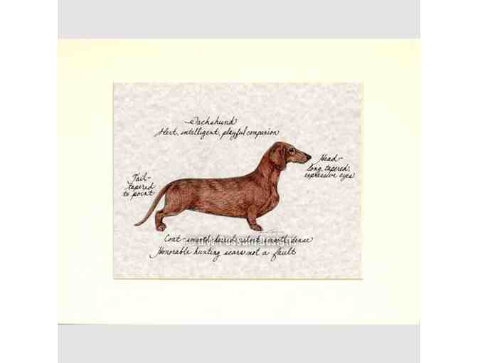 D.W. Possum Designs Vintage Dachshund Box