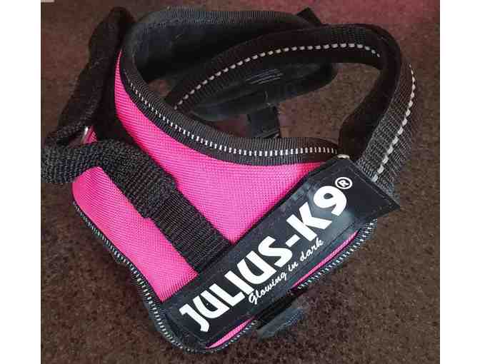Pink Julius K-9 Harness