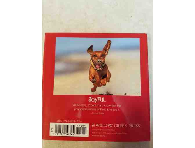 Dachshund Rules book