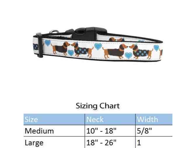 Harness, Collar and Leash Set from doxinmotion.co !! In BLUE!!! ALL THREE!!!