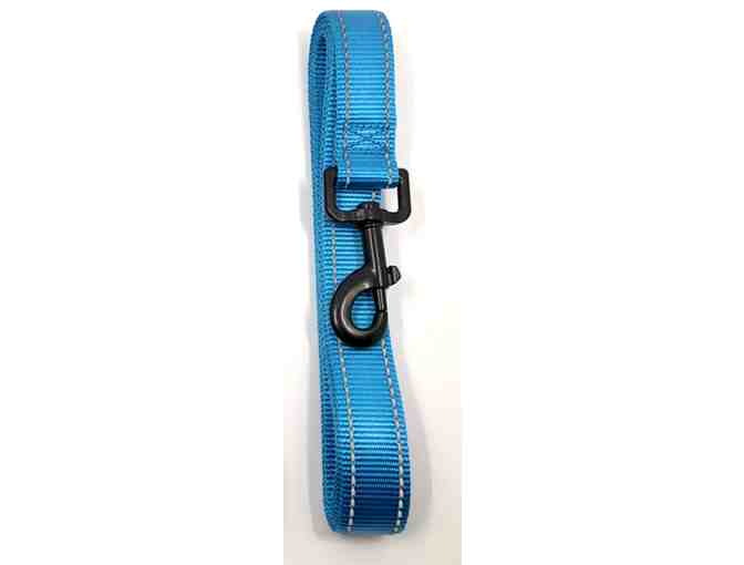 Harness, Collar and Leash Set from doxinmotion.co !! In BLUE!!! ALL THREE!!!