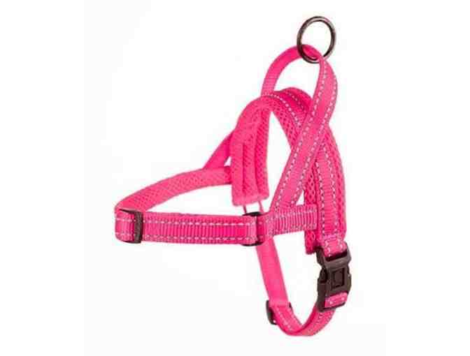 Harness, Collar and Leash Set from doxinmotion.co !! In PINK!!! ALL THREE!!!