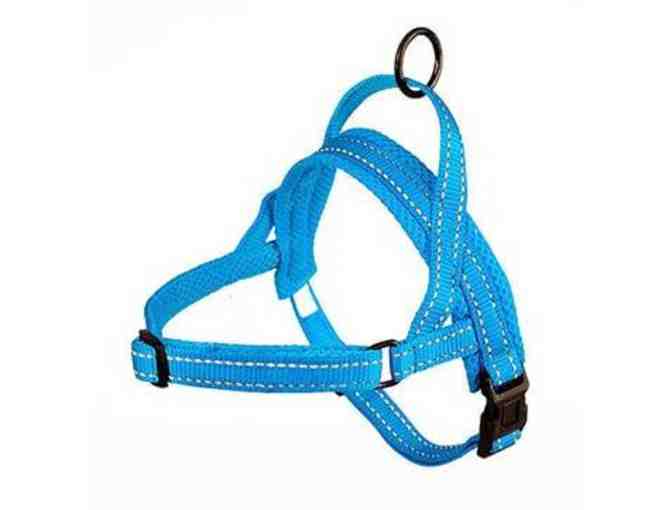 Harness, Collar and Leash Set from doxinmotion.co !!  In BLUE!!!  ALL THREE!!!