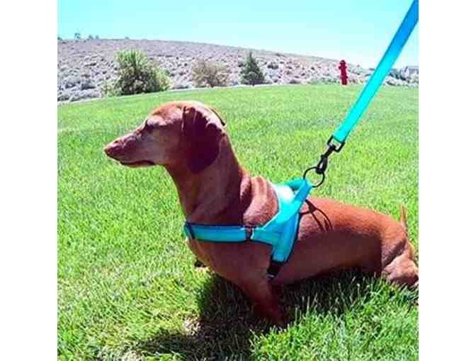 Harness, Collar and Leash Set from doxinmotion.co !!  In PINK!!!  ALL THREE!!!