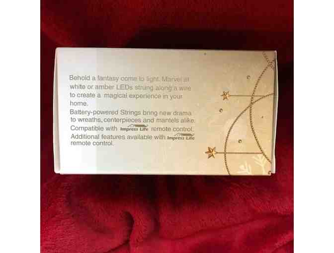 Dachshund LED String Lights