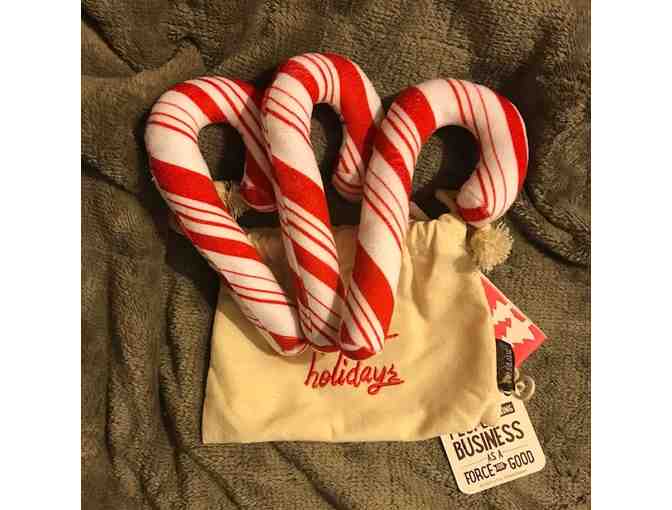 3 in 1 Candy Cane Doy Toy Set