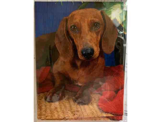 Note Cards - Two (2) boxes of Dachshund Note Cards from Estate