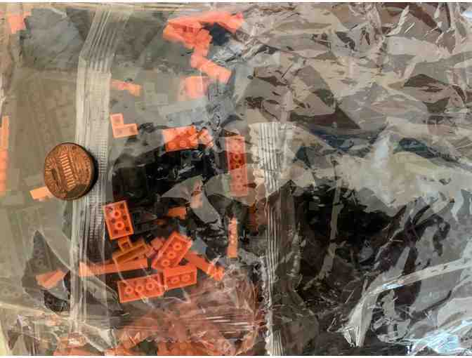 Building Blocks! Mini 'lego' style building blocks to build a dachshund!