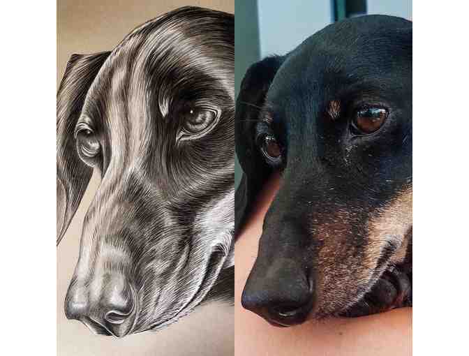 BUY A CHANCE TO WIN! -- Custom Pencil Animal Portrait (ONLY 50 tickets available!)