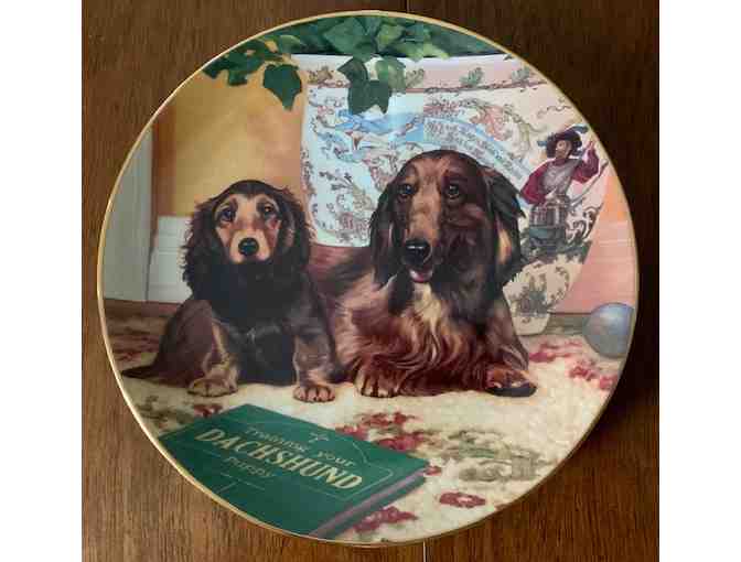 Danbury Mint Dachshund Collector Plates - 7 Plates in Total - Beautiful Condition!