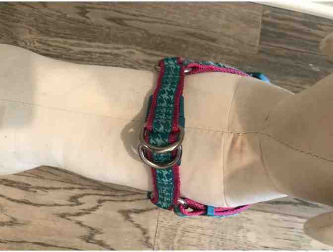 Martha Stewart Harness