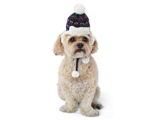 Dog Hat - Top Paw Dog Hat -- Size M/L