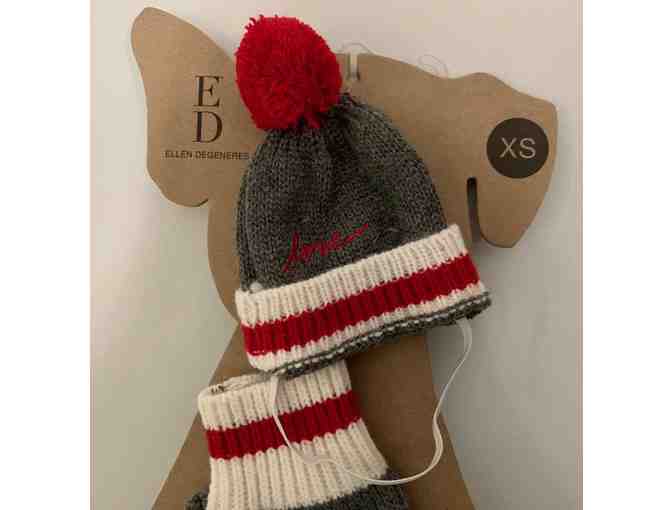 Hat, Scarf & Leg Warmers! By Ellen Degeneres! EXTRA SMALL - For Chihuahua?