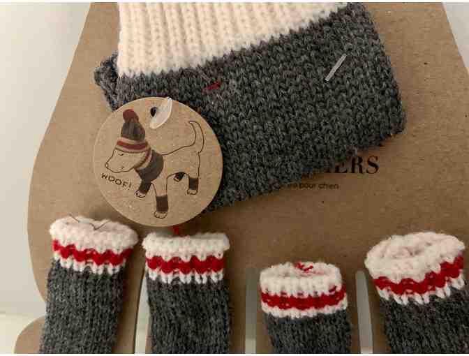 Hat, Scarf & Leg Warmers! By Ellen Degeneres! EXTRA SMALL - For Chihuahua?