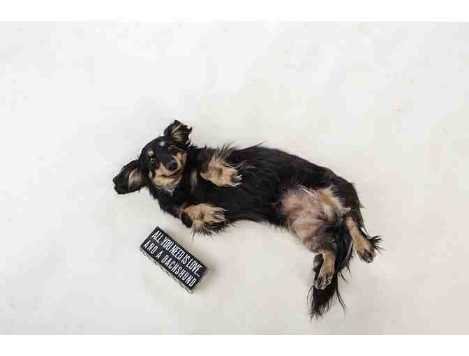 All You Need Is Love... And A Dachshund -- Primitives by Kathy Box Sign, 6' x 2.5'