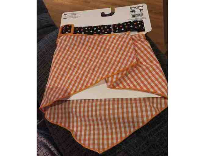Halloween Dog Collar & Bandana Set - Size Medium (12' to 16')