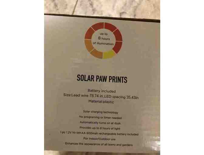 Solar Paw Print Lights - Four Paw Print Lights!
