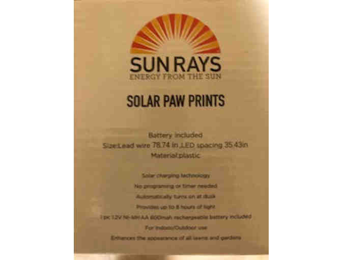 Solar Paw Print Lights - Four Paw Print Lights!