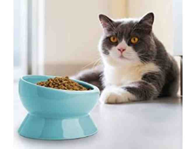 Raised and Tilted Pet Bowls (Set of 2)