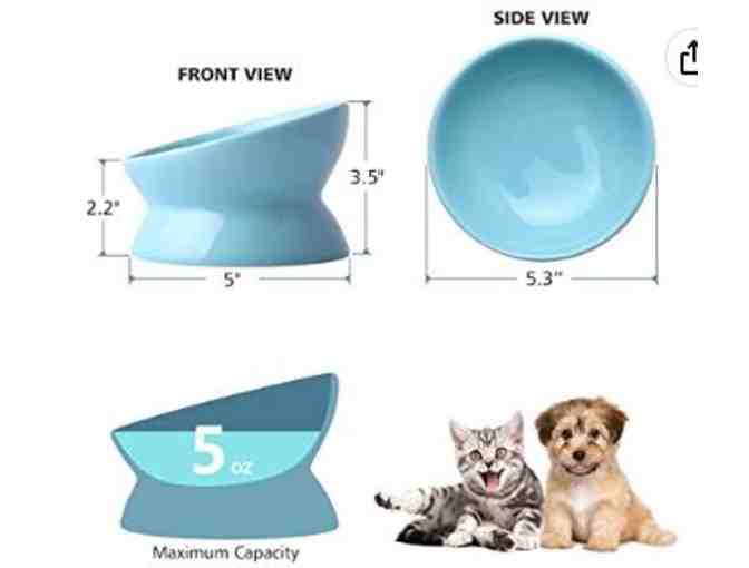Raised and Tilted Pet Bowls (Set of 2)