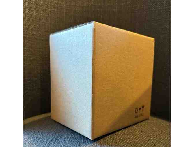 Raised and Tilted Pet Bowls (Set of 2)